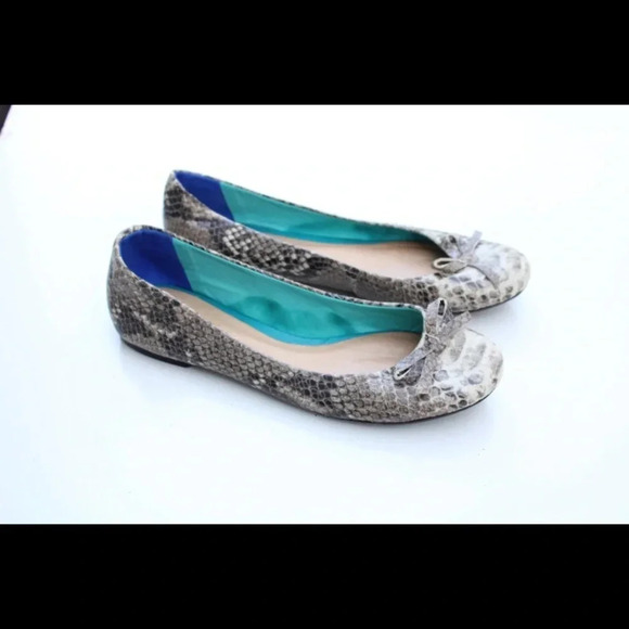 SCHUTZ flats - Picture 1 of 11